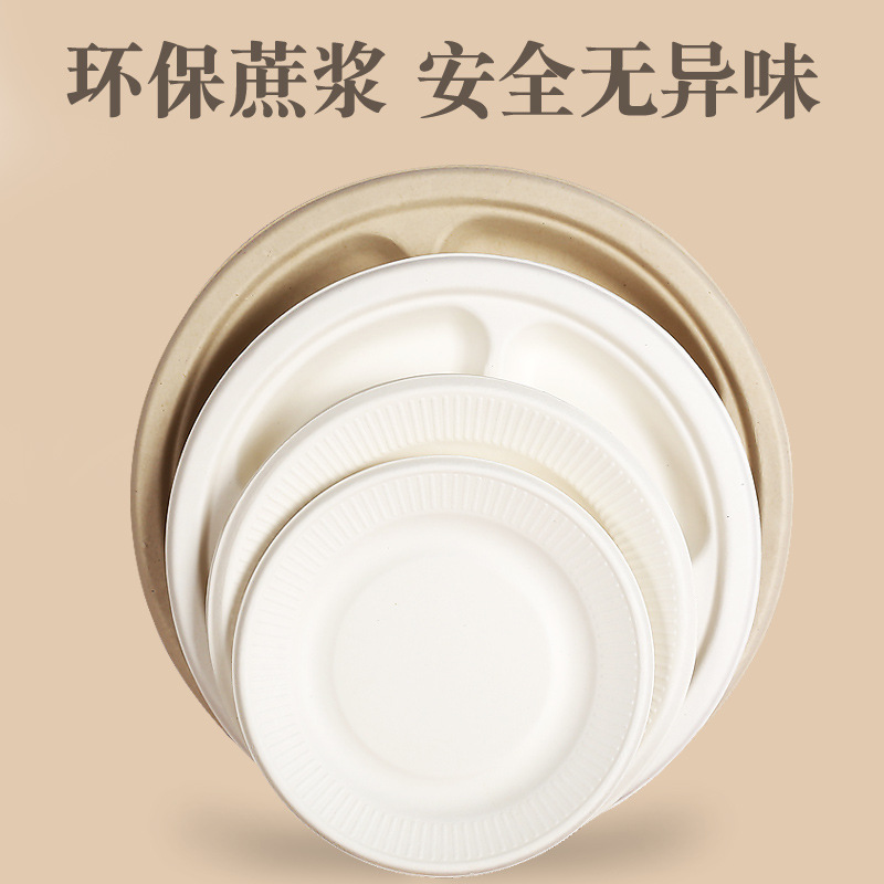 Compostable Sugarcane Pulp Square Cake Plate – Disposable Eco-Friendly Paper Platter