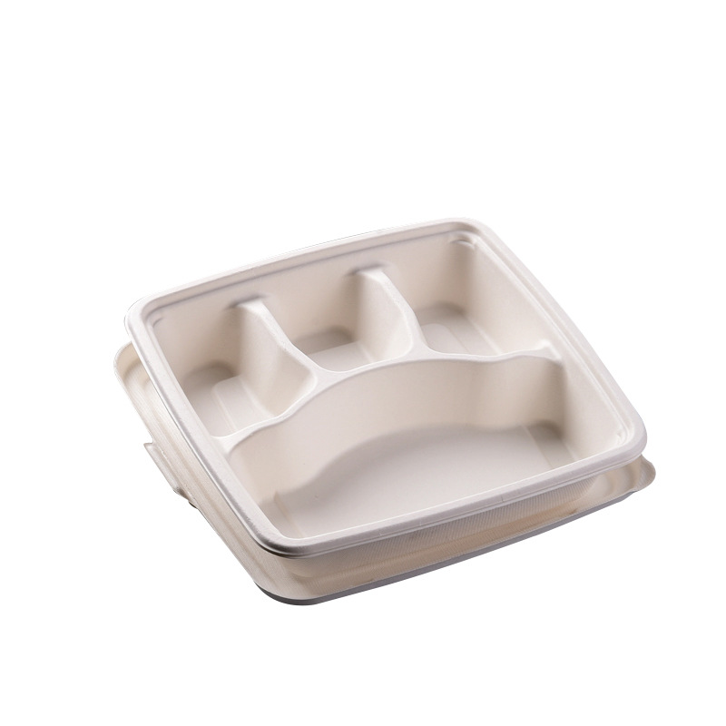 Compostable 9-inch 4-6 Compartment Bento Box – Sugarcane Pulp Fast Food Tray