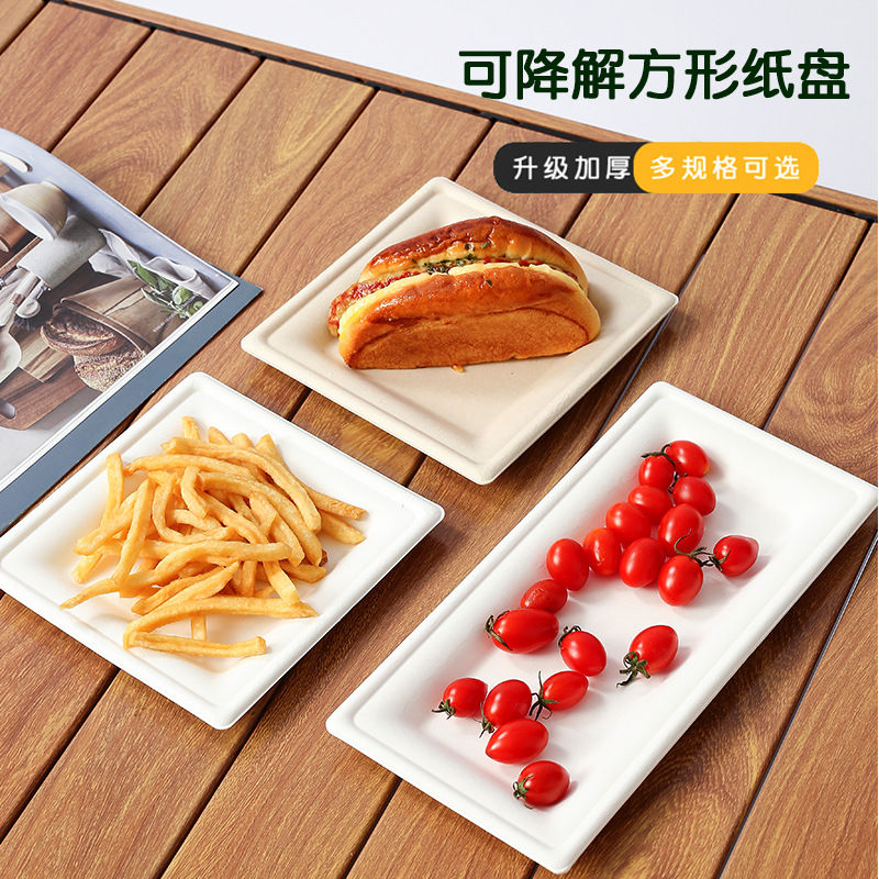 Factory Wholesale Square Biodegradable Paper Plates – Art Craft BBQ Picnic Platters