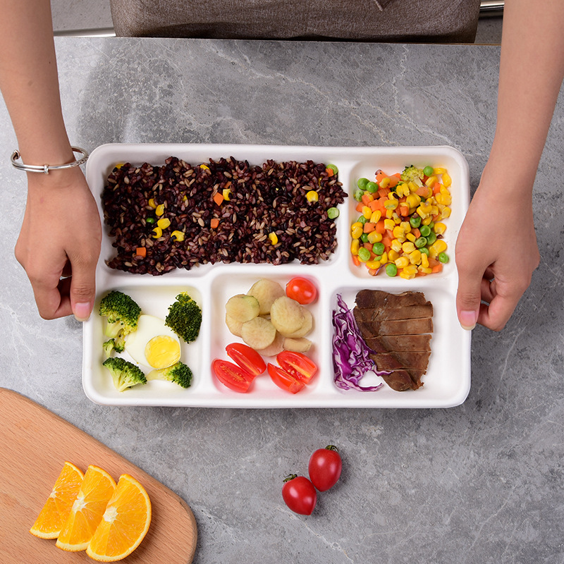 Disposable Compostable 3/4-Compartment Tray – Sugarcane Pulp Divided Buffet Container