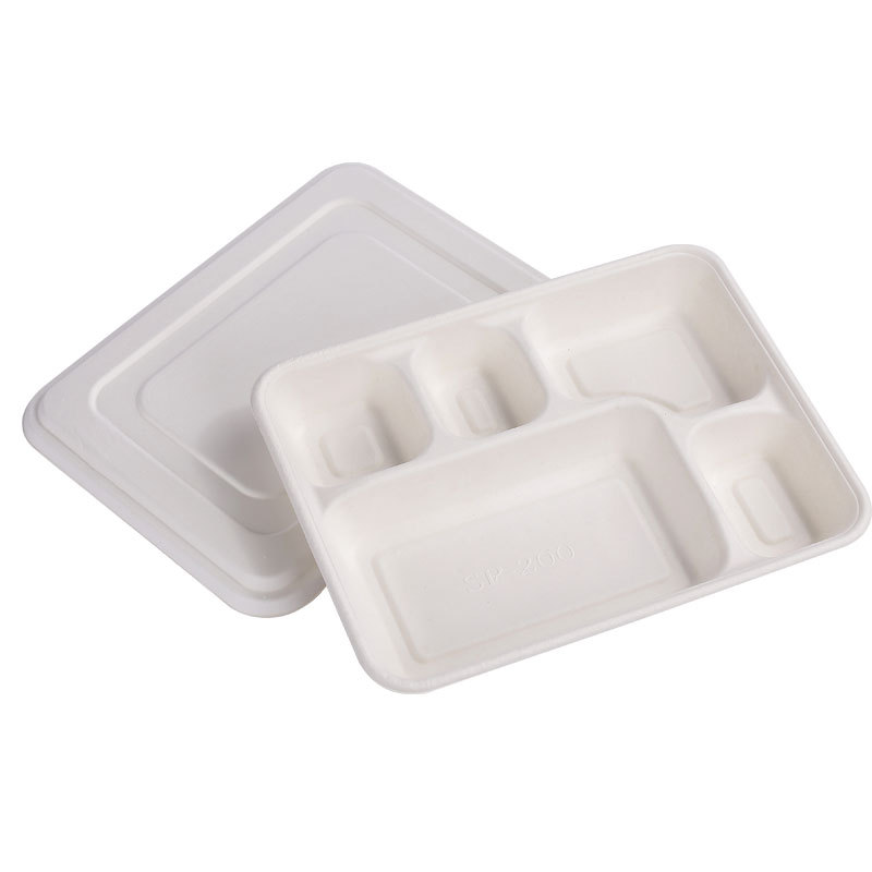 Disposable Compostable 3/4-Compartment Tray – Sugarcane Pulp Divided Buffet Container