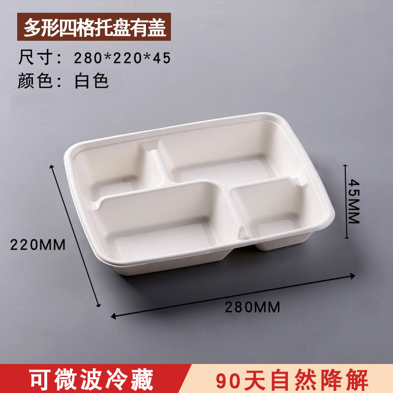 Sugarcane Pulp 1-5 Compartment Bento Box – Multi-Grid Fruit Salad Fast Food Tray