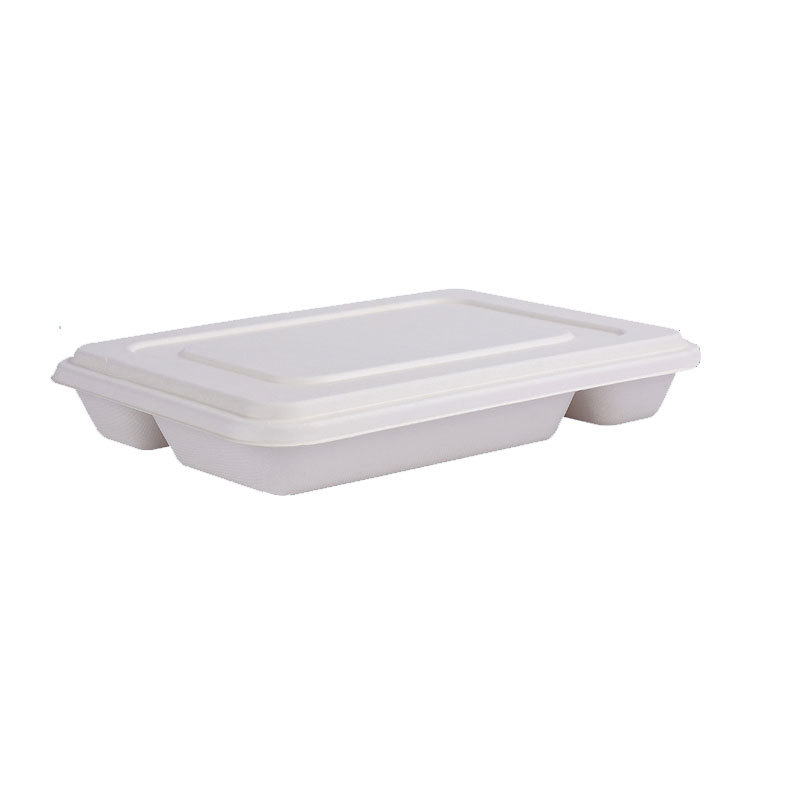 Compostable Sugarcane Pulp Deep 5-Compartment Tray – Cafeteria Picnic Divided Bento