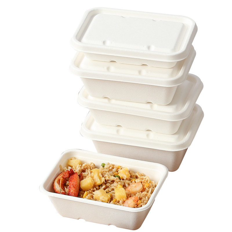 Compostable 750ml Sugarcane Pulp Square Takeout Box – Salad Bento Container