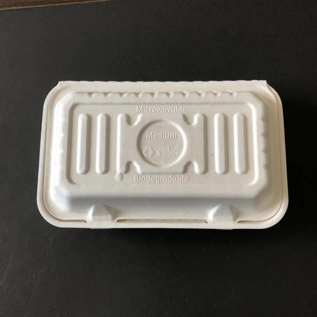 Compostable BBQ Skewer Fried Bun Takeout Box – 50-Pack Sugarcane Pulp Fish Tray