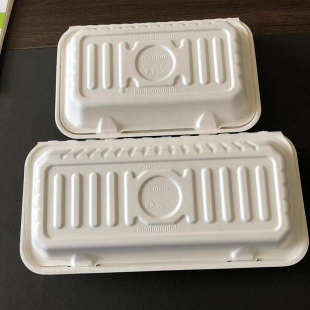 Compostable BBQ Skewer Fried Bun Takeout Box – 50-Pack Sugarcane Pulp Fish Tray