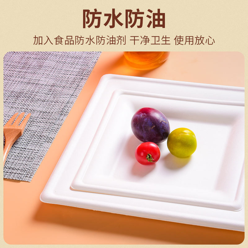 Square Biodegradable Paper Plates – Art Craft Picnic BBQ 6/8/10 inch Platters
