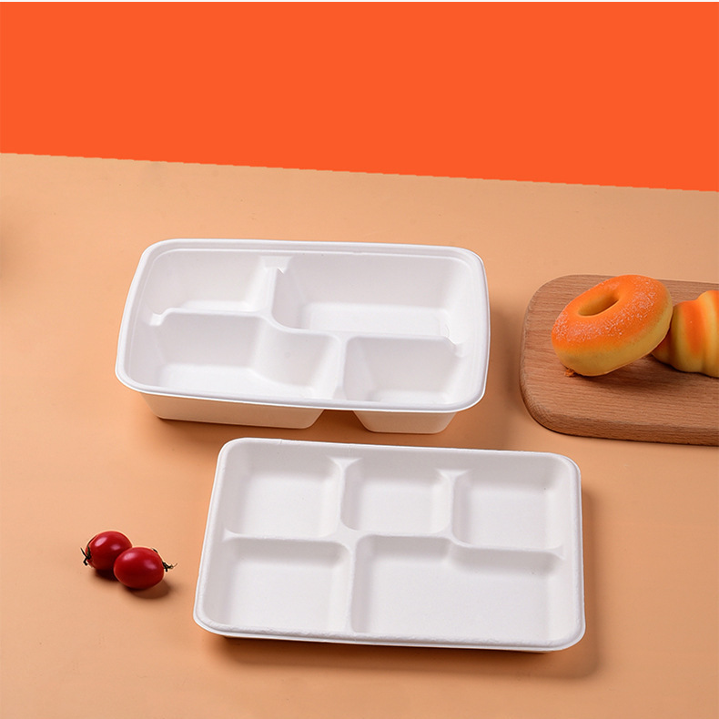 Wholesale Compostable Divided Lunch Box – Sugarcane Pulp Multi-Compartment Container