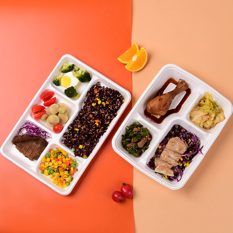 Disposable Compostable 3/4-Compartment Tray – Sugarcane Pulp Buffet Divided Container
