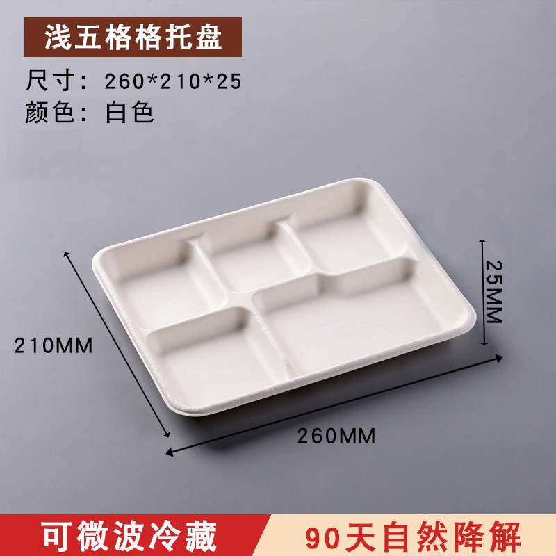 Wholesale Compostable Divided Lunch Box – Sugarcane Pulp Multi-Compartment Container