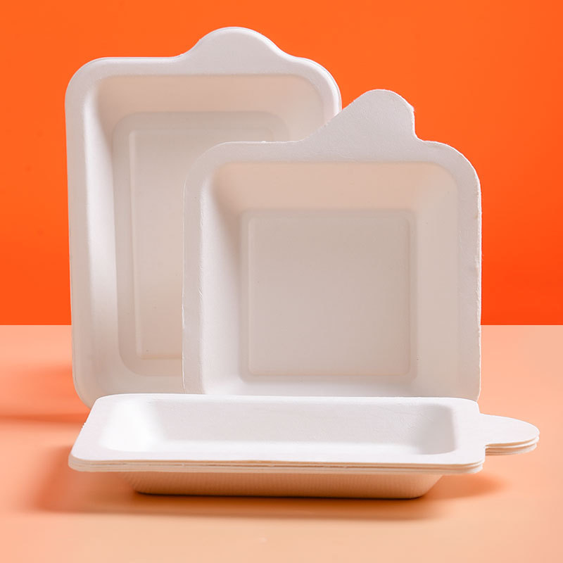 White Rectangular Disposable Cake Paper Plate – Biodegradable Platter 5-Pack