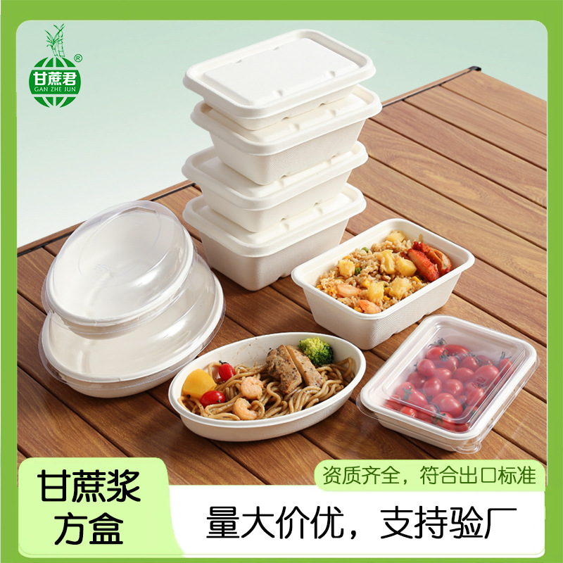 Compostable Sugarcane Pulp Square Takeout Box – Salad Picnic Bento Container