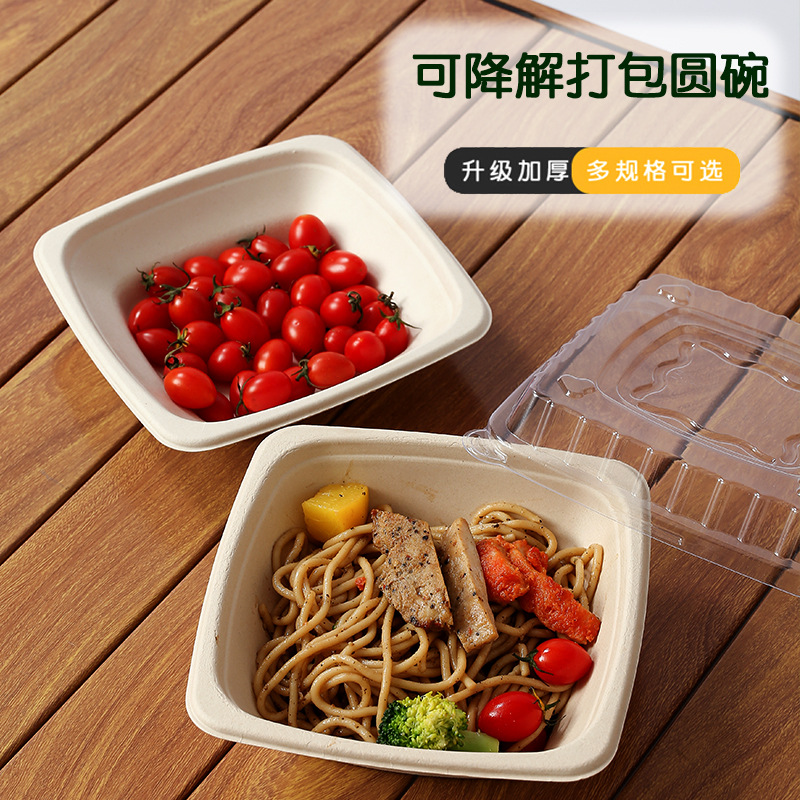 Compostable Pulp Takeout Square Bowl – Light Meal Salad Noodle 750-1200ml Container