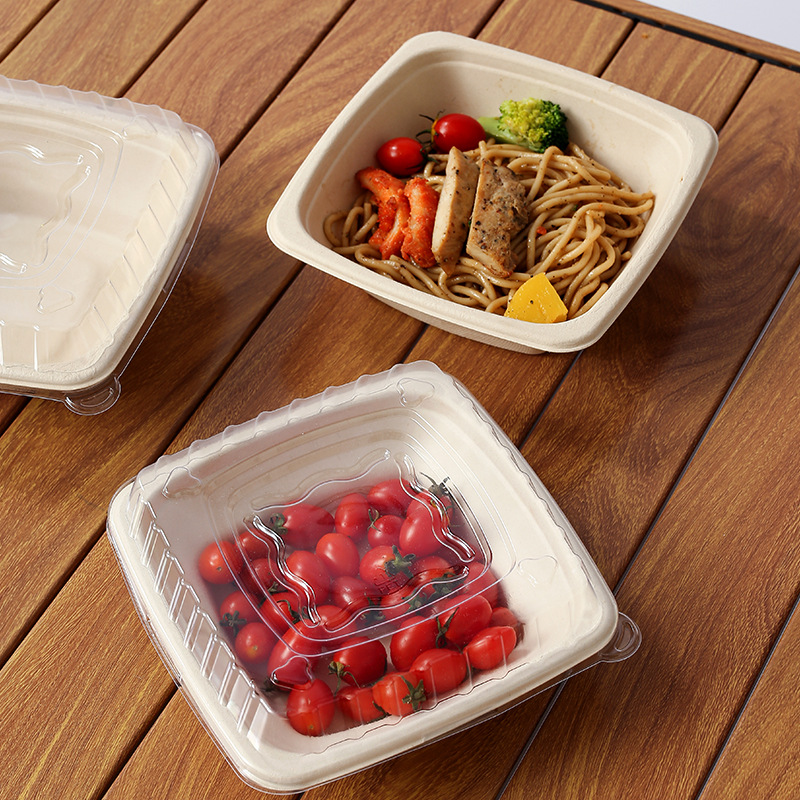 Compostable Pulp Takeout Square Bowl – Light Meal Salad Noodle 750-1200ml Container