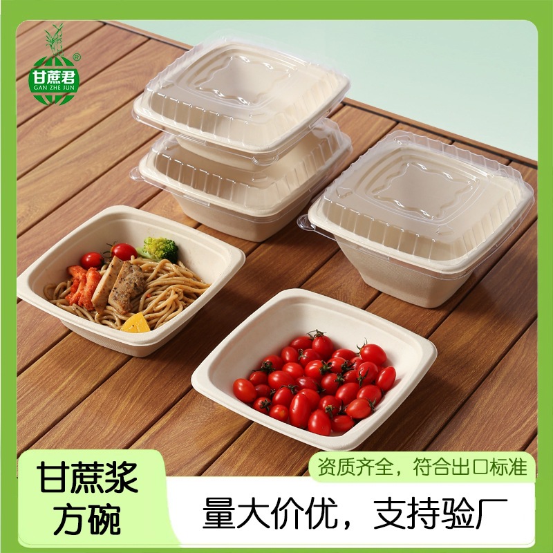 Compostable Pulp Takeout Square Bowl – Light Meal Salad Noodle 750-1200ml Container