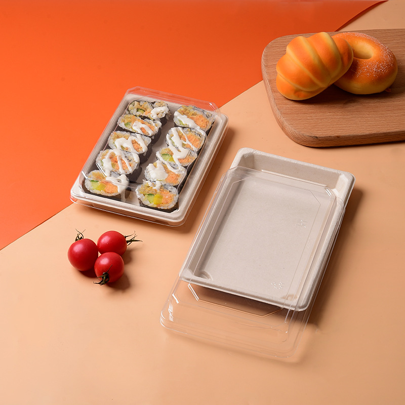 Disposable Sugarcane Pulp Sushi Tray – Compostable Various Models Fruit Platter