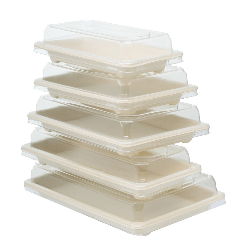 Disposable Sugarcane Pulp Sushi Tray – Compostable Various Models Fruit Platter