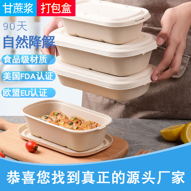 Compostable Divided Takeout Container – Light Meal Salad Mochi Pastry Lunch Box