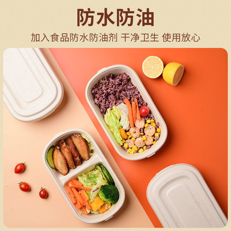 Compostable Divided Light Meal Container – 700/850ml Salad Mochi Pastry Box