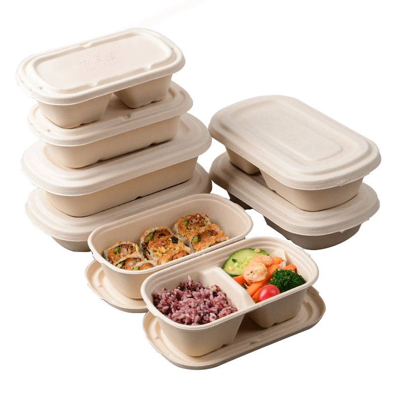 Compostable Divided Takeout Container – Light Meal Salad Mochi Pastry Lunch Box