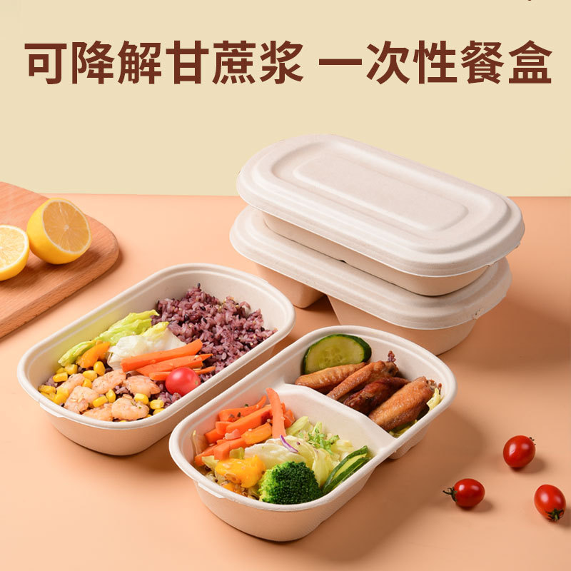 Compostable Divided Light Meal Box – 700/850ml Salad Mochi Pastry Container
