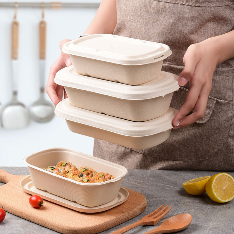Compostable Divided Light Meal Box – 1000/850ml Salad Mochi Pastry Container