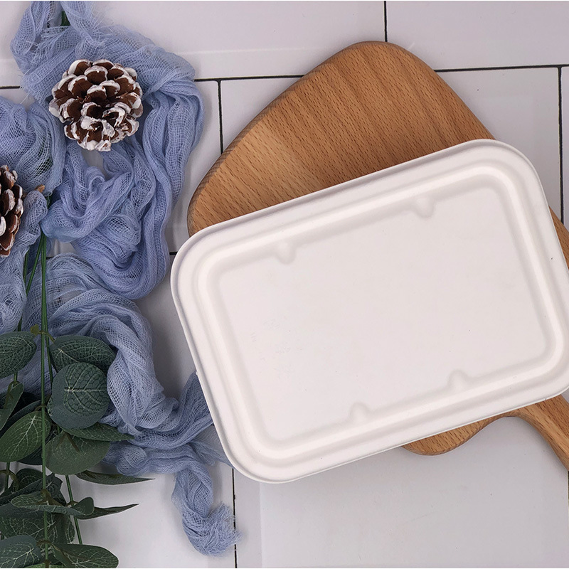 Sugarcane Pulp Square Takeout Box – Compostable Light Meal Microwave-Safe Container