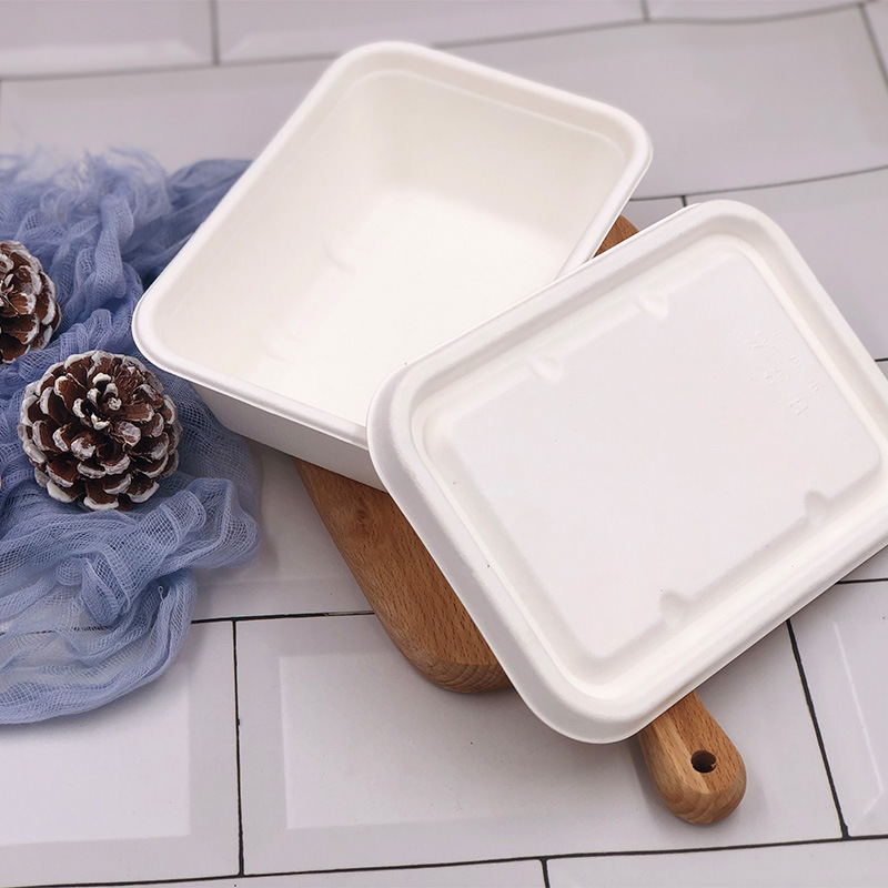 Sugarcane Pulp Square Takeout Box – Compostable Light Meal Microwave-Safe Container
