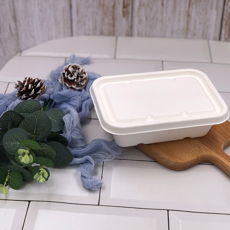 Sugarcane Pulp Square Takeout Box – Compostable Light Meal Microwave-Safe Container