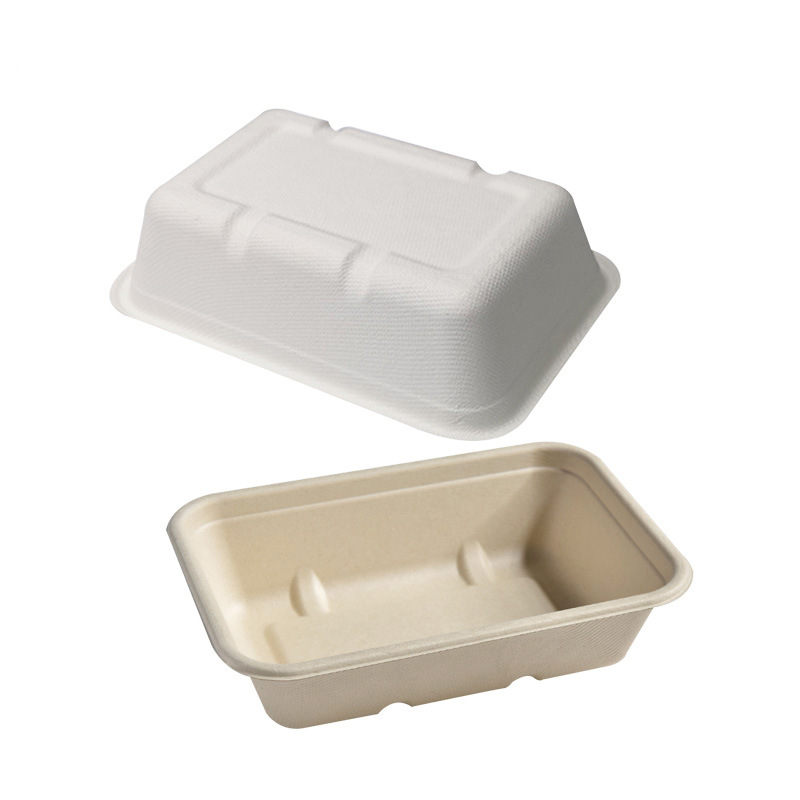 Sugarcane Pulp Square Takeout Box – Compostable Light Meal Microwave-Safe Container