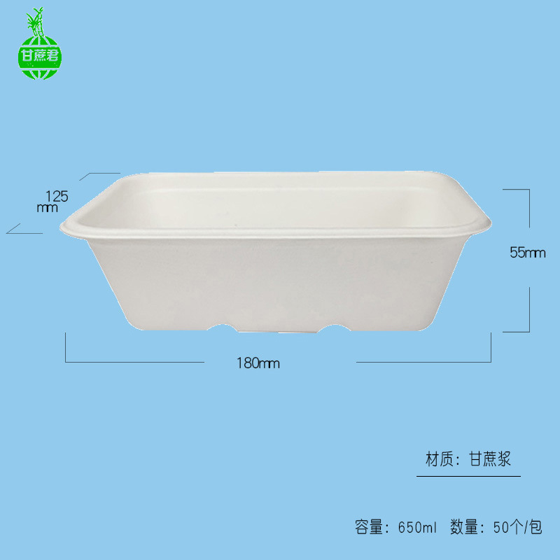 Sugarcane Pulp Square Takeout Box – Compostable Light Meal Microwave-Safe Container