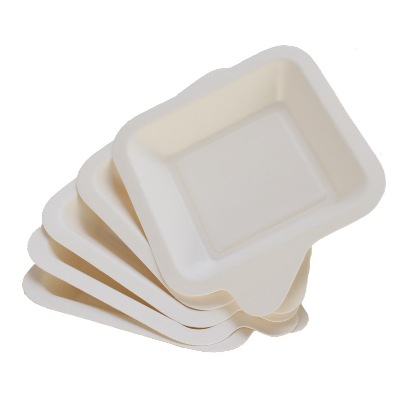 Compostable 5-Pack Cake Plate Set – Heart & Square Sugarcane Pulp Platters
