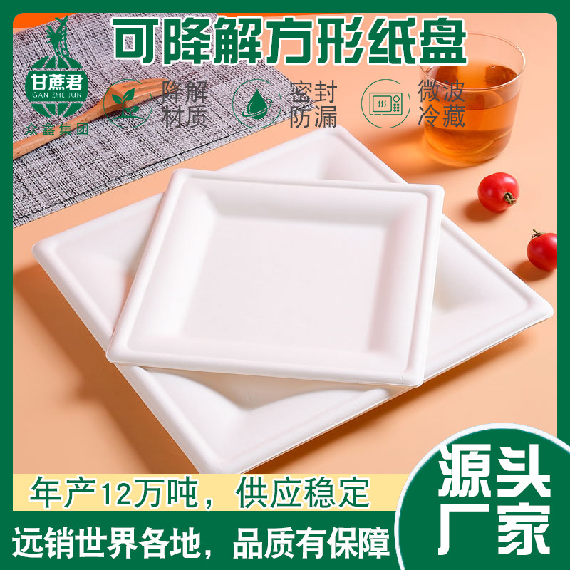 Square Biodegradable Paper Plates – Art Craft Picnic BBQ 6/8/10 inch Platters