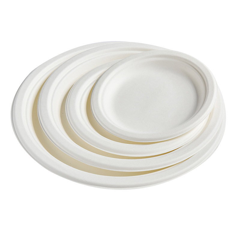 Supermarket Pack Sugarcane Pulp Plate & Bowl Set – Outdoor BBQ Picnic Heavy-Duty