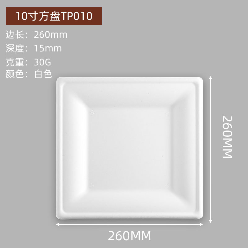 Square Biodegradable Paper Plates – Art Craft Picnic BBQ 6/8/10 inch Platters