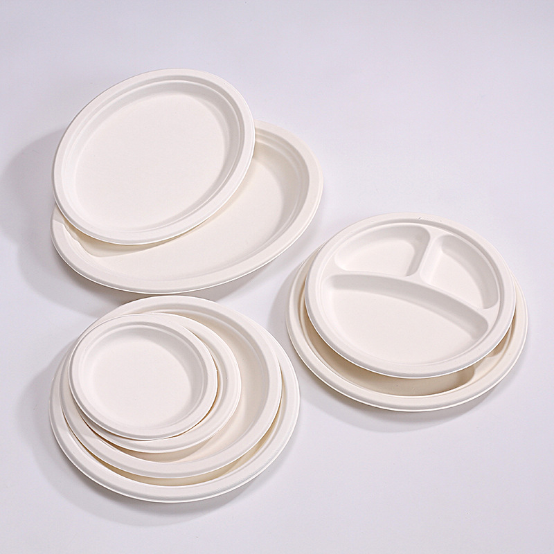 Custom Disposable Compostable Round Paper Plates – Cake Kids Art BBQ Party Platters