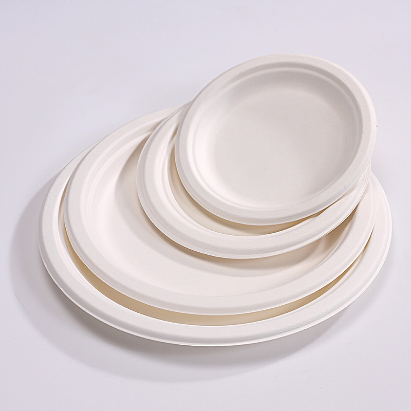 Custom Disposable Compostable Round Paper Plates – Cake Kids Art BBQ Party Platters