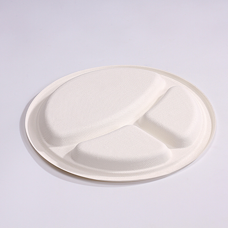 Custom Disposable Compostable Round Paper Plates – Cake Kids Art BBQ Party Platters