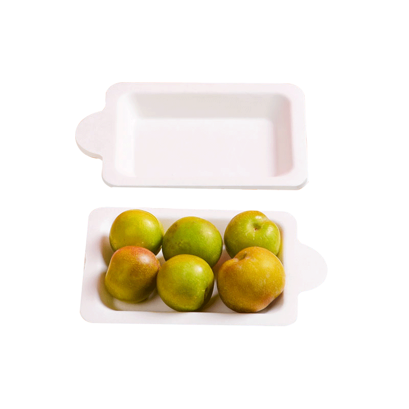 PPWR Sugarcane Pulp Custom Disposable Tableware – Plates Bowls Cake Trays OEM