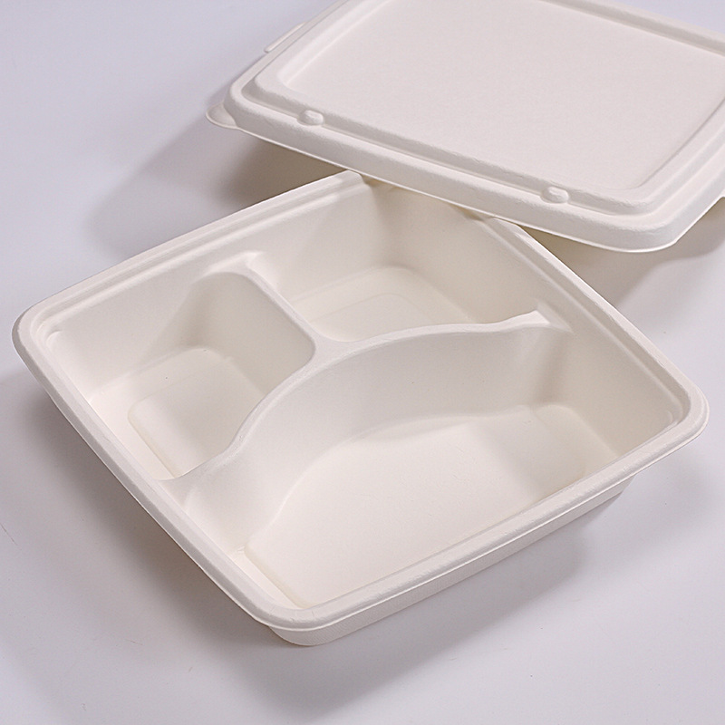PPWR Sugarcane Pulp Custom Disposable Tableware – Plates Bowls Cake Trays OEM