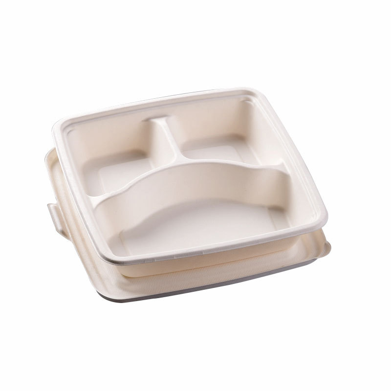 Wholesale Disposable 3/4-Compartment Tray – Biodegradable Buffet Lunch Container