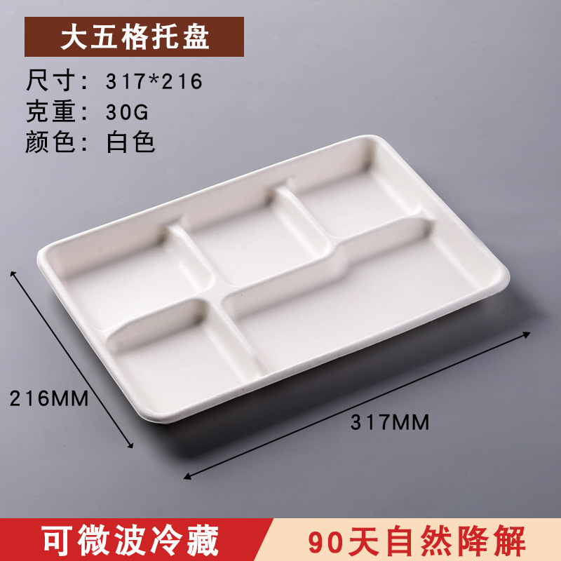 Wholesale Disposable 3/4-Compartment Tray – Biodegradable Buffet Lunch Container