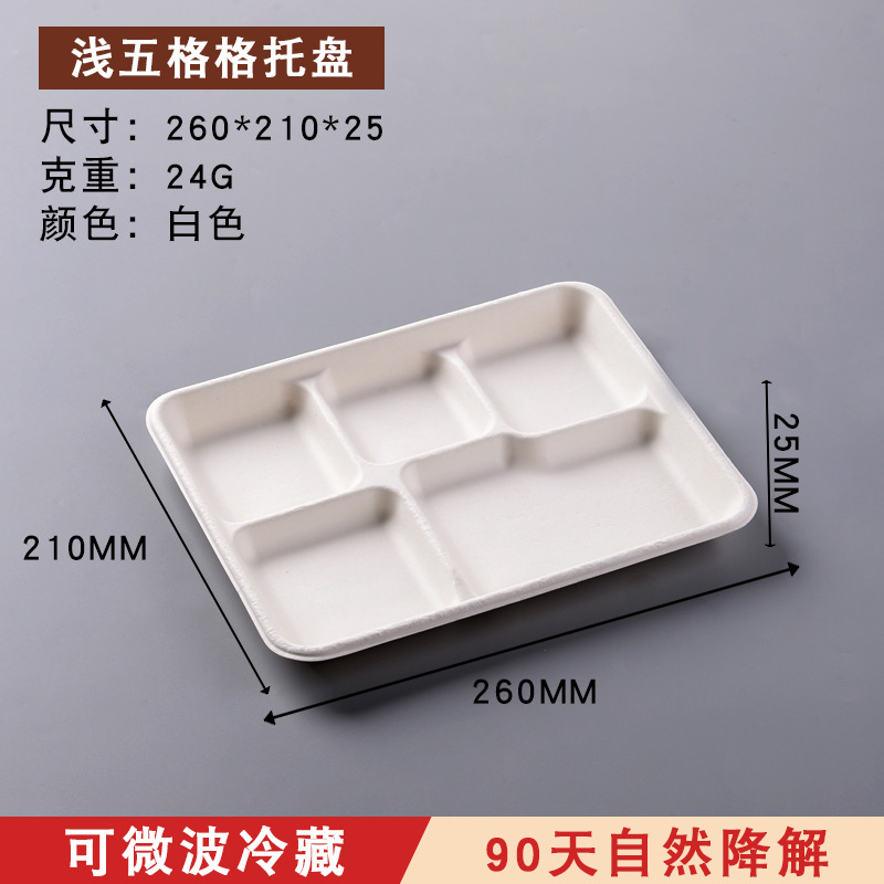 Disposable Compostable 3/4-Compartment Tray – Sugarcane Pulp Buffet Divided Container