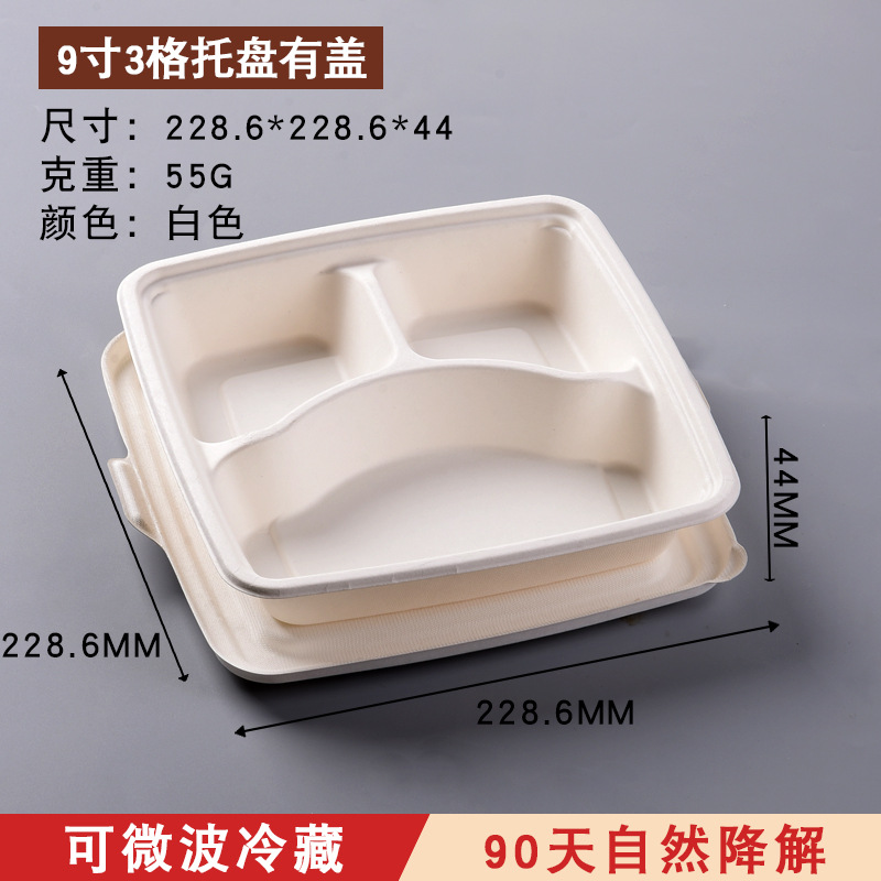 Disposable Compostable 3/4-Compartment Tray – Sugarcane Pulp Divided Buffet Container