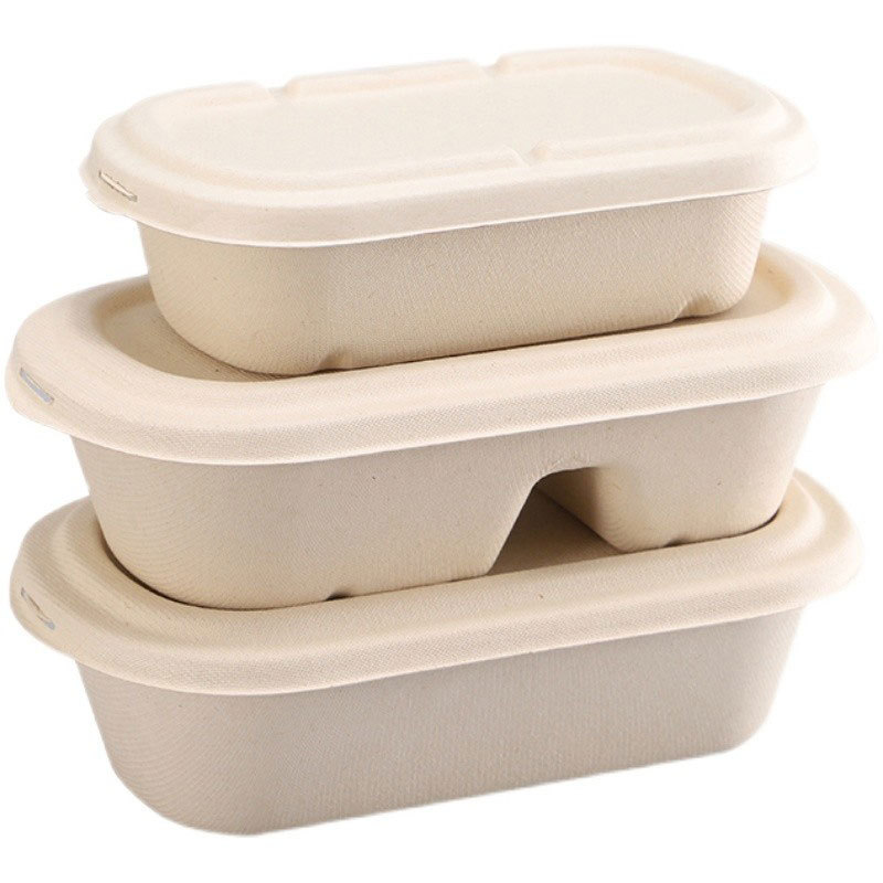 Compostable Divided Light Meal Box – 1000/850ml Salad Mochi Pastry Container