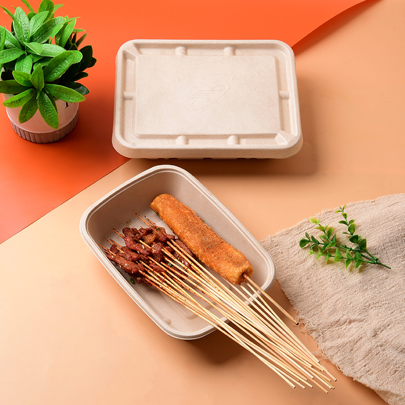 Compostable Sugarcane Pulp Square Takeout Box – Salad Picnic Bento Container