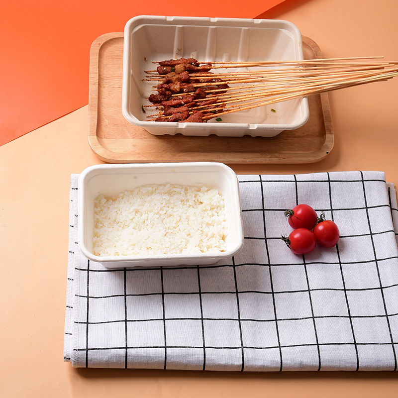 Compostable Sugarcane Pulp Square Takeout Box – Salad Picnic Bento Container