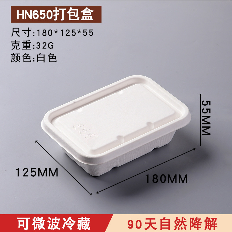 Compostable Sugarcane Pulp Square Takeout Box – Salad Picnic Bento Container