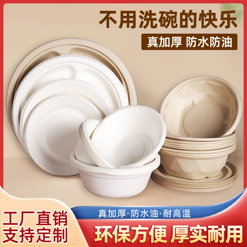 Biodegradable Sugarcane Pulp Plates & Bowls – BBQ Birthday Cake Hot Pot Set