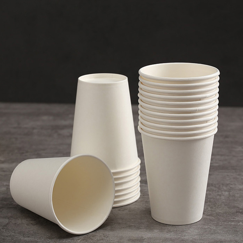 Biodegradable Sugarcane Pulp Plates & Bowls – BBQ Birthday Cake Hot Pot Set